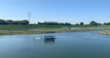 两仗两胜：定州城市服务公司加快转型