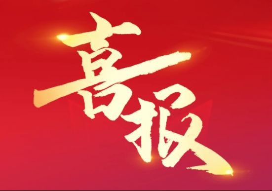 喜报 | 物业公司荣获“2024中国物业服务企业综合实力500强”“2024中国国有物业服务企业综合实力100强”等奖项