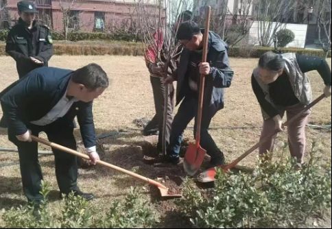 “植”此青绿 共“树”未来丨世纪物业开展植树节